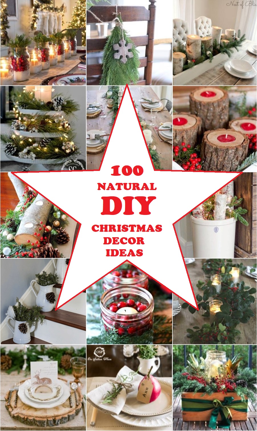 100 Natural DIY Christmas Decor Ideas